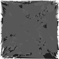 H1S8036F